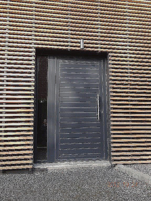 Porte de garage basculante avec portillon vial
