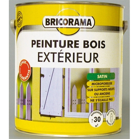 Peinture carrelage sol bricorama