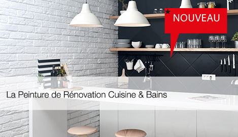 Peinture de renovation cuisine et bain blanchon