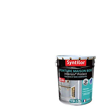 Peinture maison bois syntilor