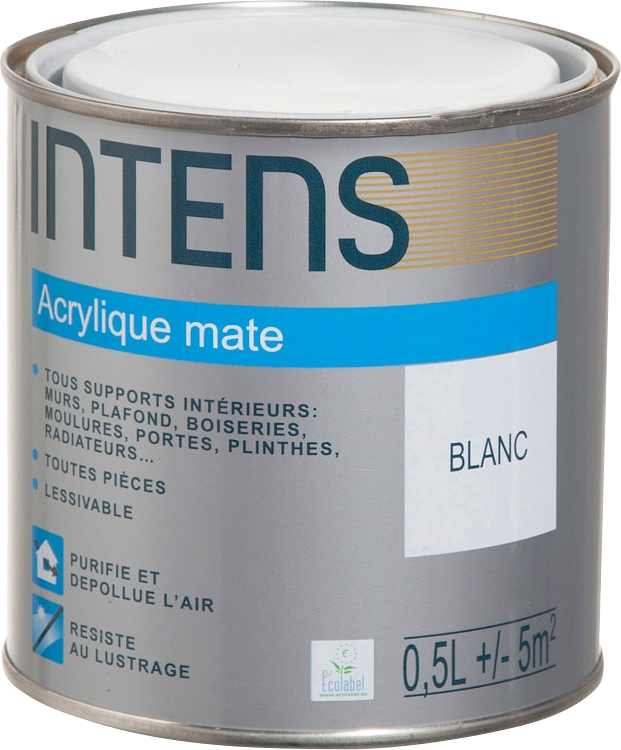 Peinture acrylique lessivable
