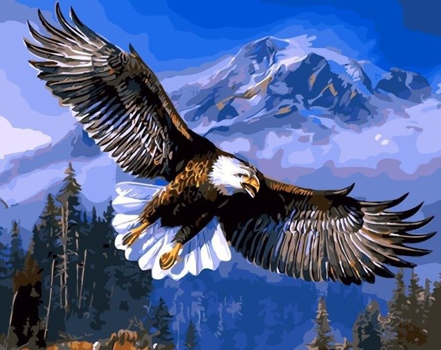 Deco peinture aigle