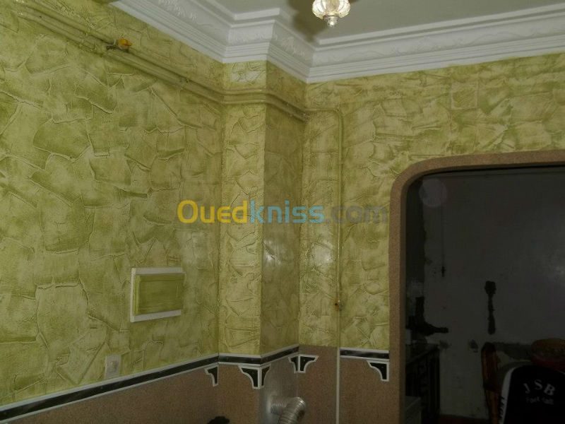 Ouedkniss peinture maison exterieur