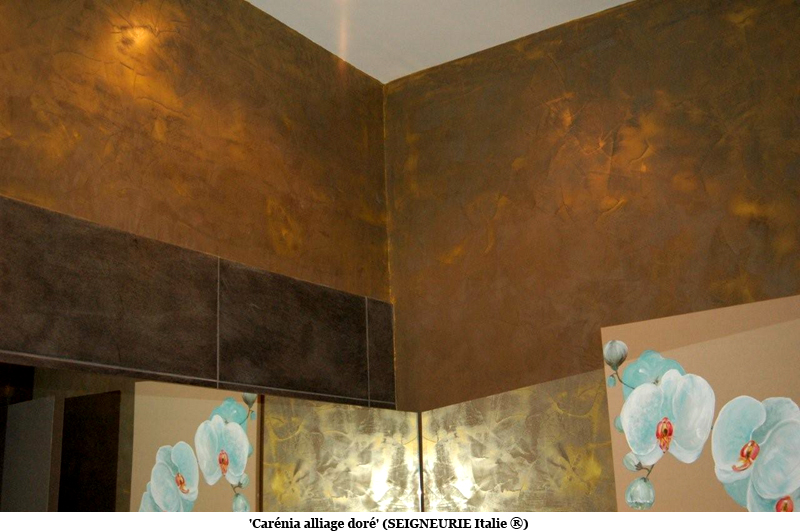 Decoration peinture carenia