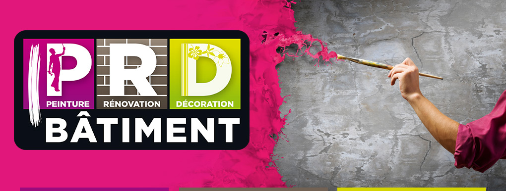 Peinture rénovation decoration