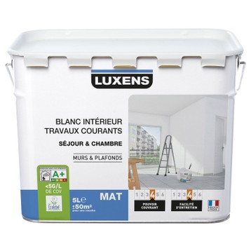 Peinture blanche grand travaux
