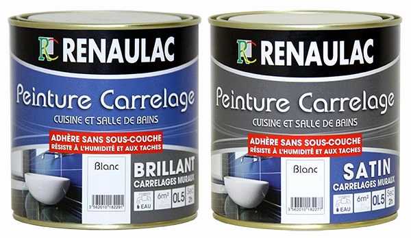 Peinture carrelage douche brico depot