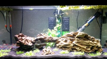Peindre un decor d'aquarium