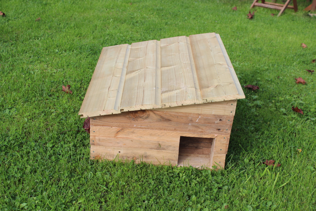 Plan de maison pour herisson