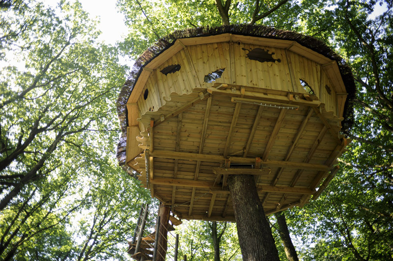 Plan de maison dans les arbres