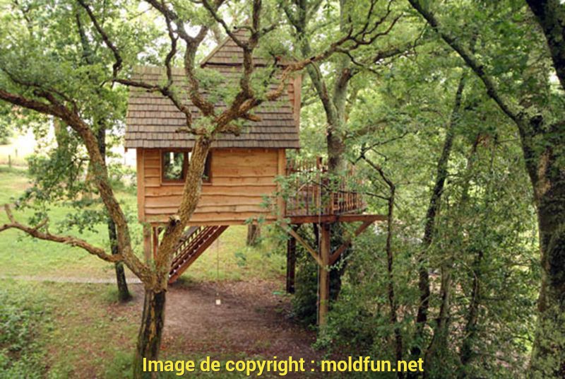 Plan de construction maison dans les arbres - Idées de travaux