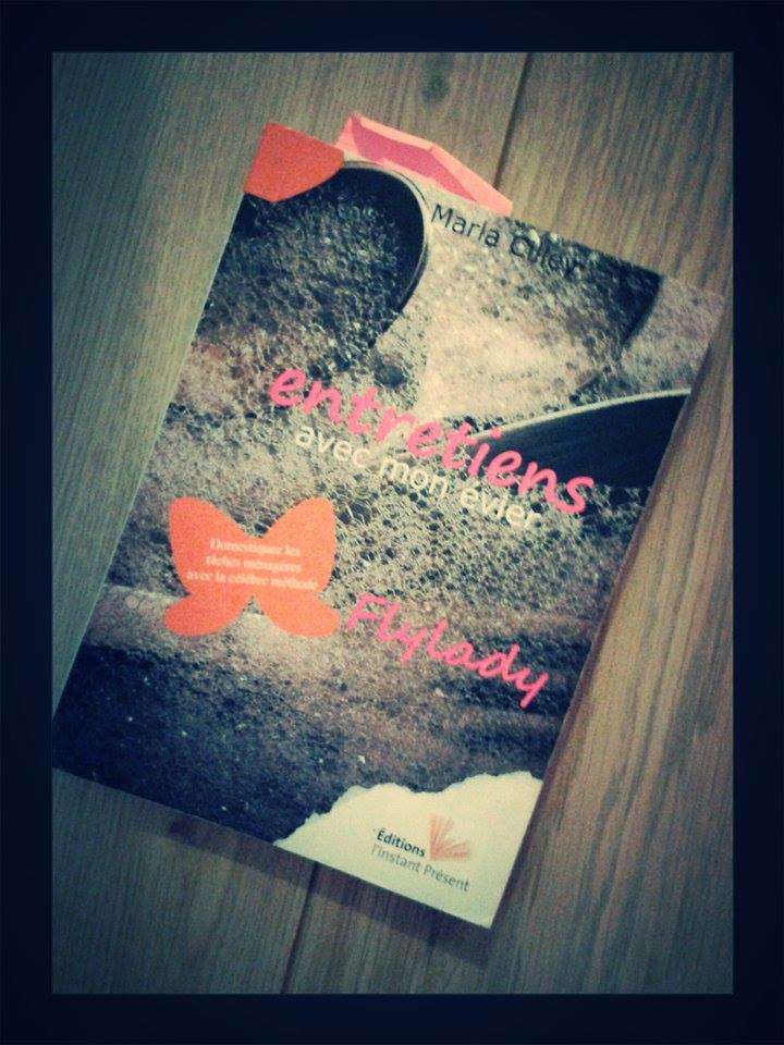 Entretien avec mon évier